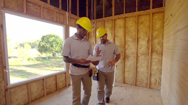 Best Insulation for New Construction  in Nederland, TX